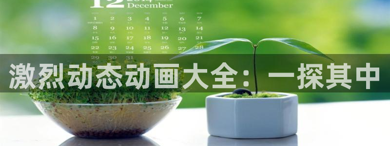 美妙天堂动漫在线观看动漫完整版：激烈动态动画大全：一探其中