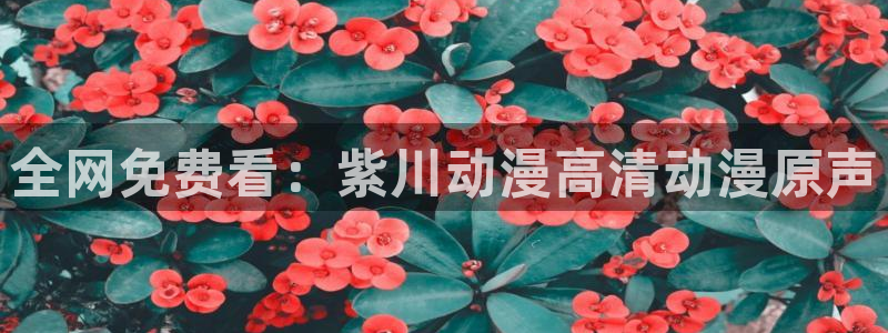 天堂动漫网站入口在哪里：全网免费看：紫川动漫高清动漫原声