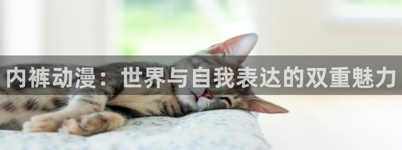 动漫天堂下载官方：内裤动漫：世界与自我表达的双重魅力